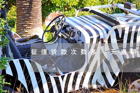 征信贷款次数多 无逾期 征信贷款次数多 无逾期